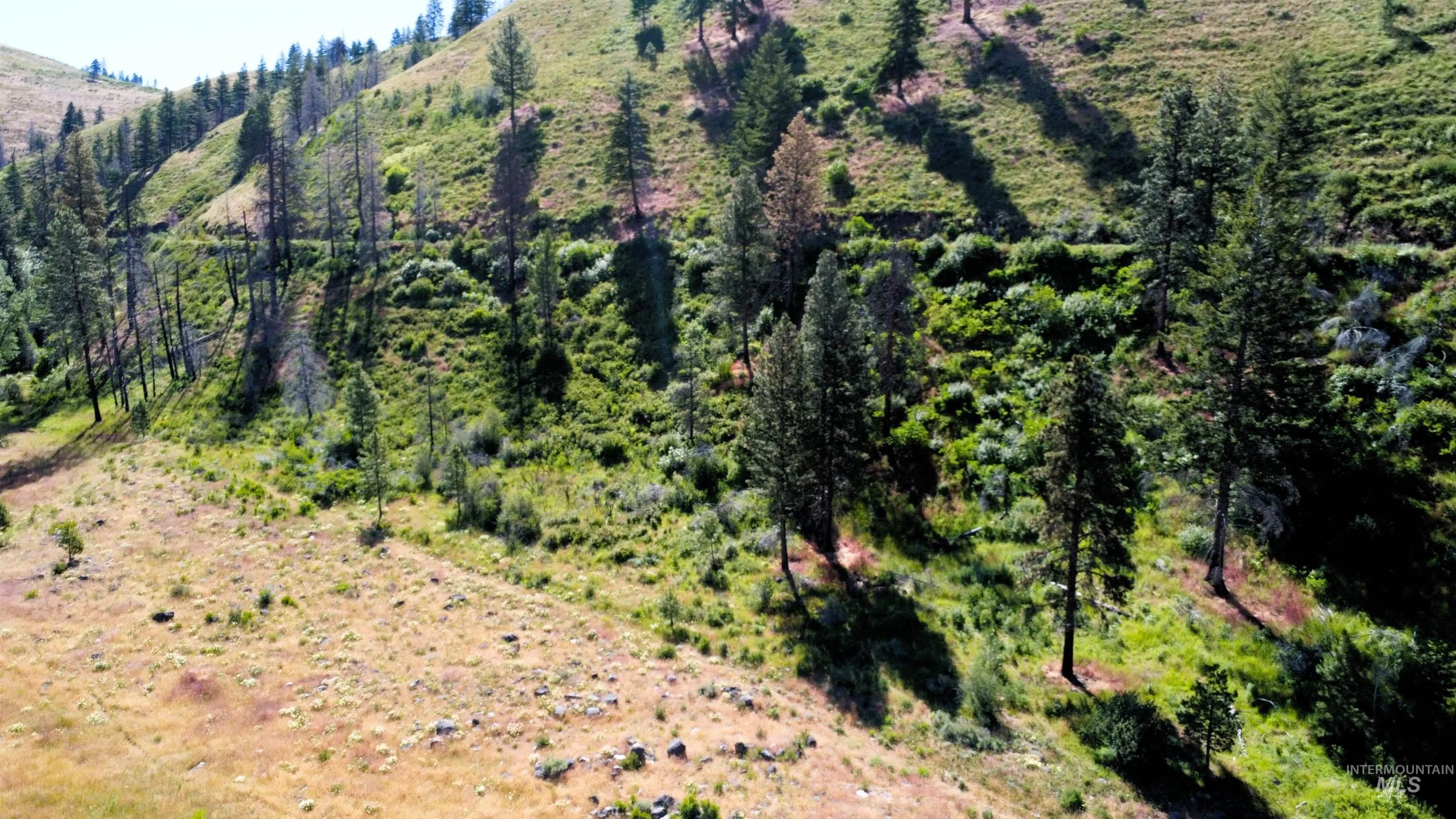 Tbd Advent Gulch Road Cambridge, ID 83610 - Photo 28 of 30