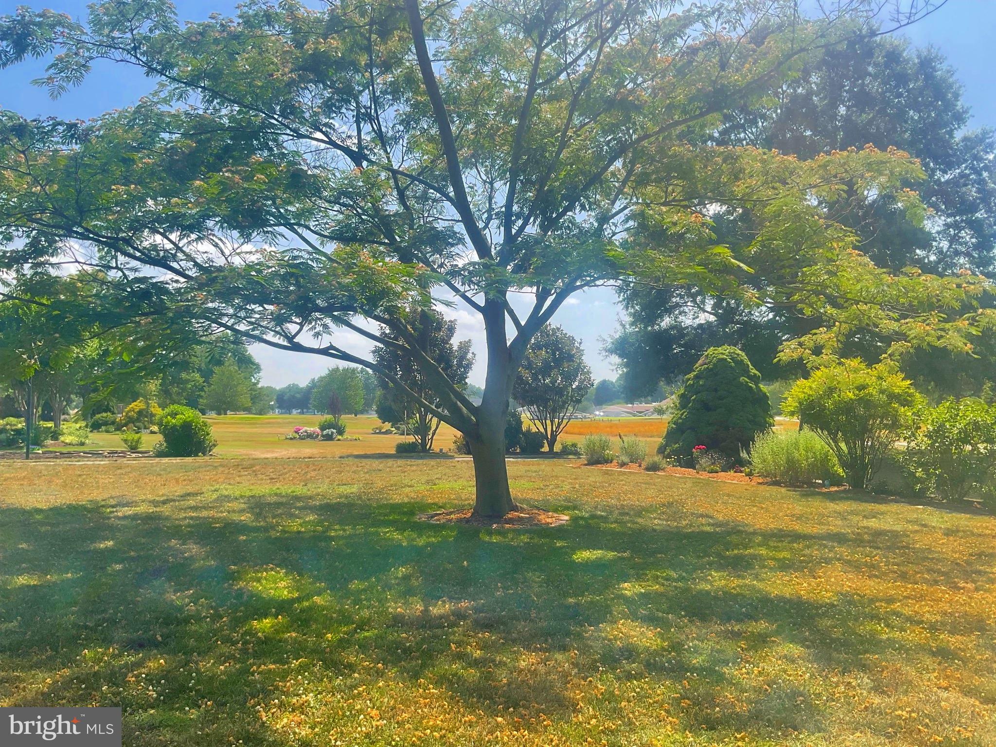 560 Troon Road Dover, DE 19904 - Photo 47 of 57