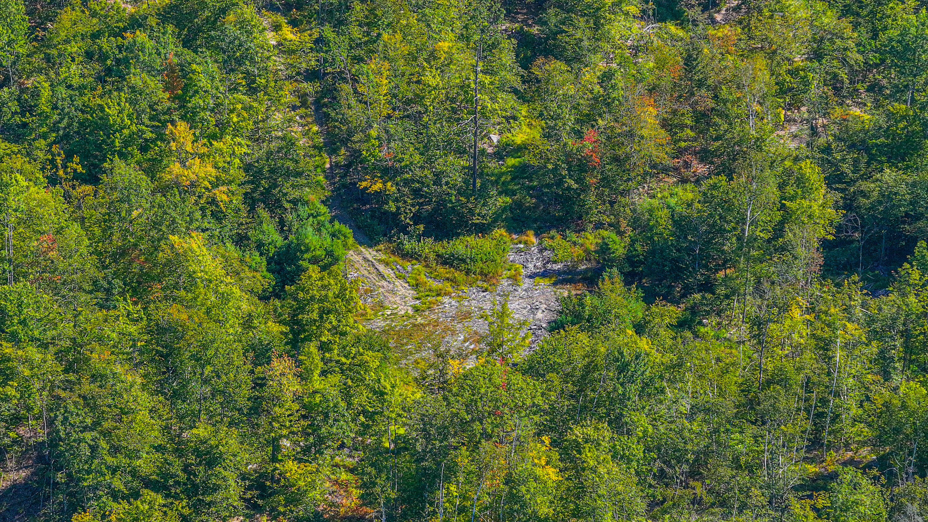 7 Sabattus Road Lovell, ME 04051 - Photo 11 of 19 sabattus road land-3