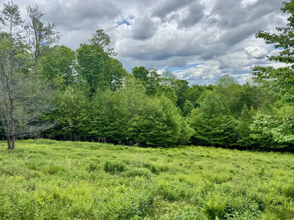 16 Manley Phelps Road Monroe, MA 01247 - Photo 3 of 27