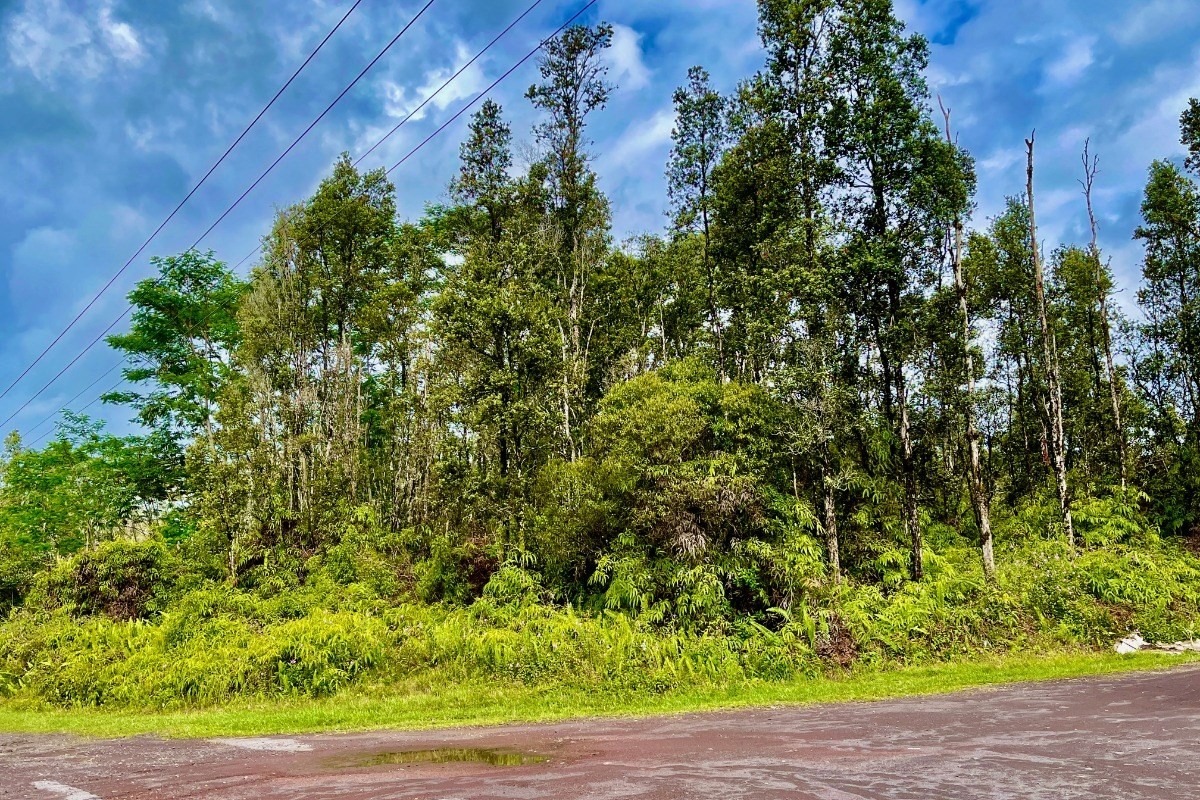 351 Forest Road Pahoa, HI 96778 - Photo 1 of 21 Gallery Image 1