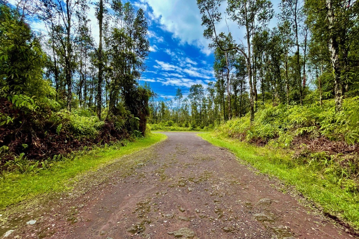 351 Forest Road Pahoa, HI 96778 - Photo 11 of 21 Gallery Image 11