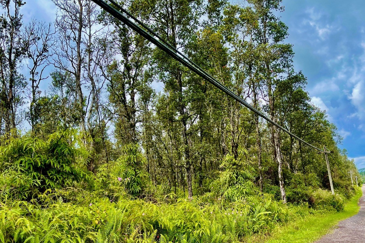 351 Forest Road Pahoa, HI 96778 - Photo 14 of 21 Gallery Image 14