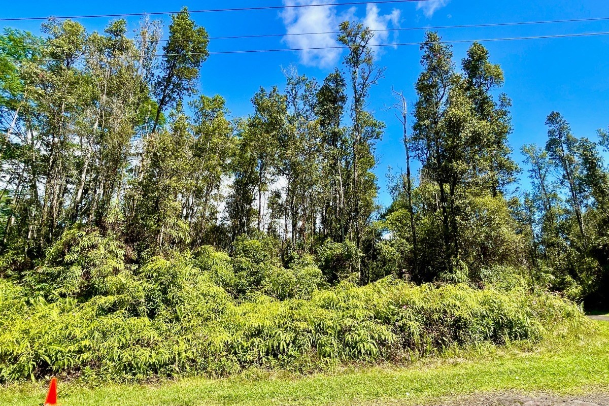 351 Forest Road Pahoa, HI 96778 - Photo 3 of 21 Gallery Image 3