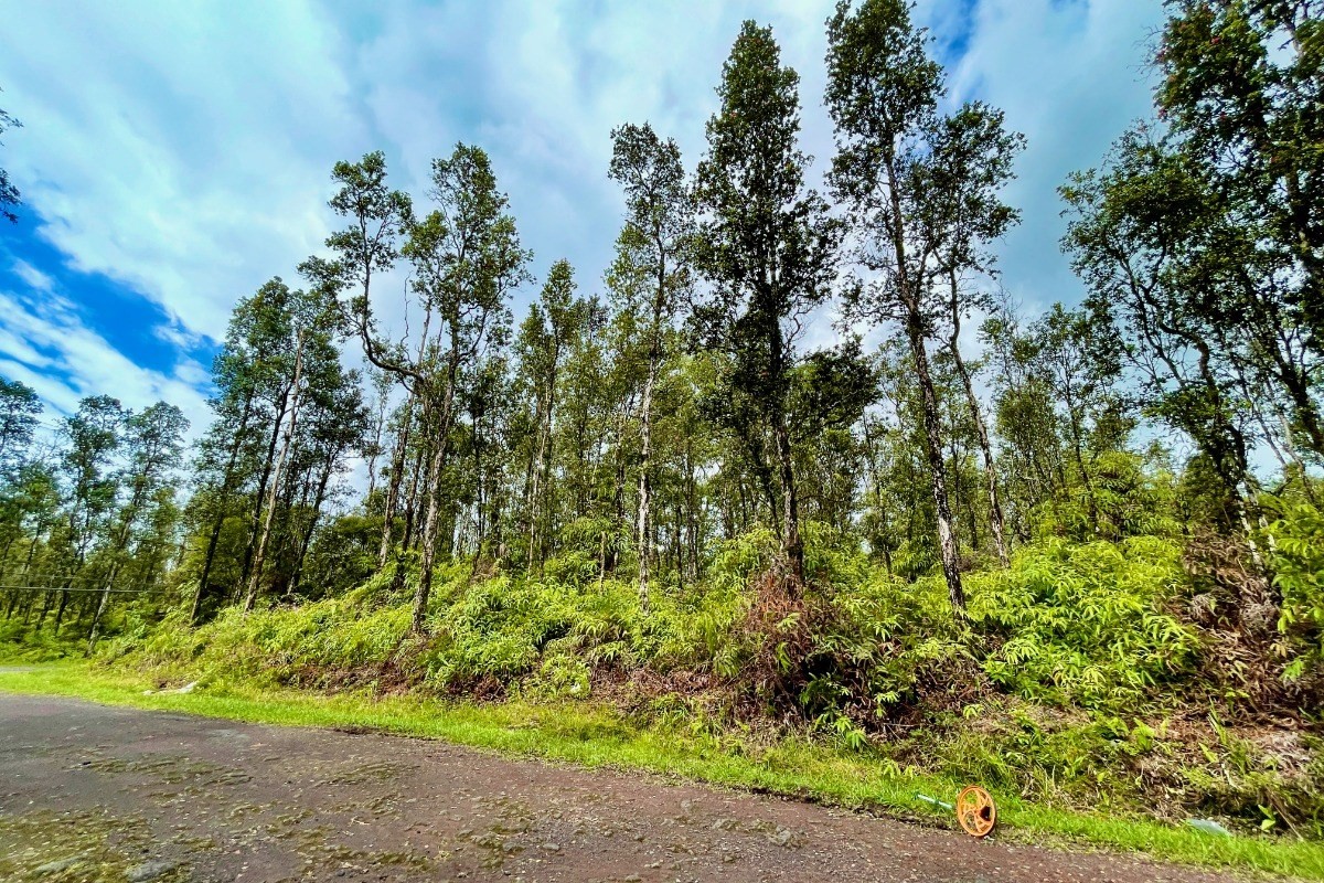 351 Forest Road Pahoa, HI 96778 - Photo 6 of 21 Gallery Image 6