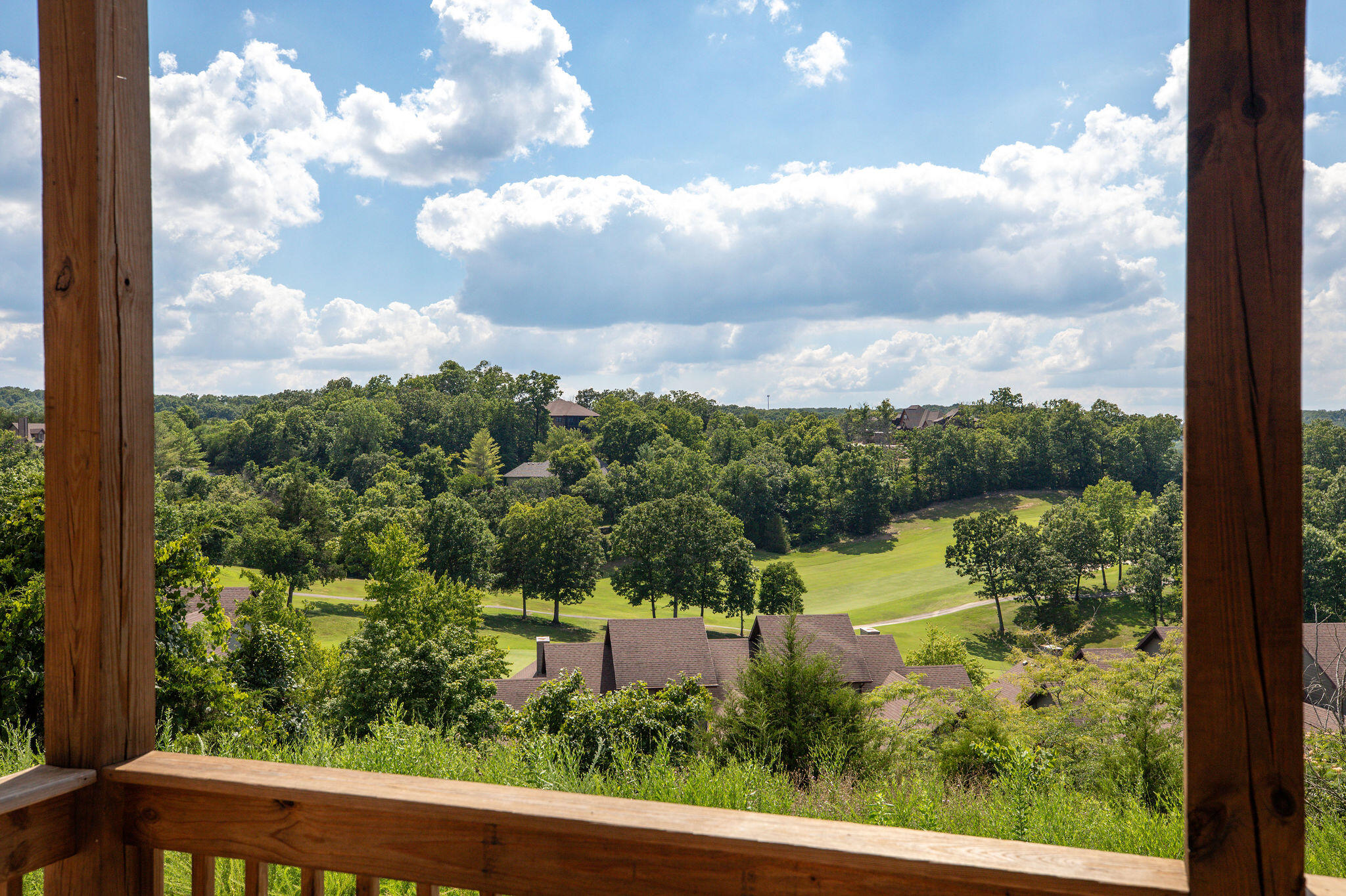 93 Bunker Drive, Unit 1 Reeds Spring, MO 65737 - Photo 20 of 48 Back porch view