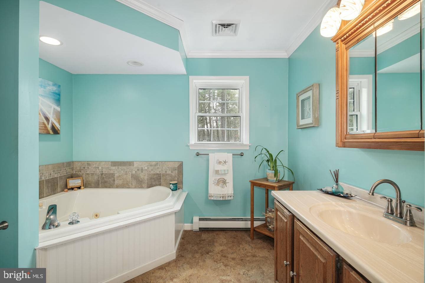 379 Indian Mills Road Shamong, NJ 08088 - Photo 26 of 56 Master Bath