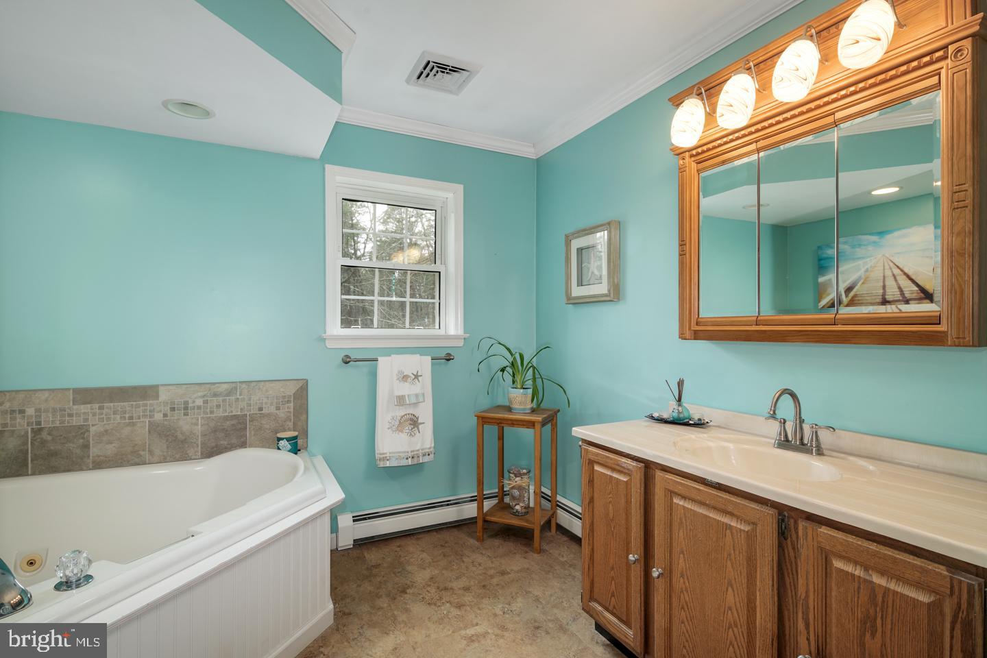 379 Indian Mills Road Shamong, NJ 08088 - Photo 27 of 56 Master Bath