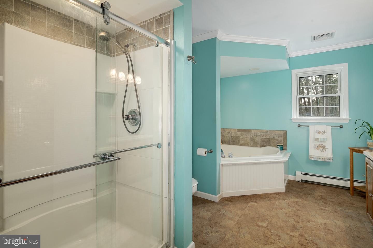379 Indian Mills Road Shamong, NJ 08088 - Photo 29 of 56 Master Bath