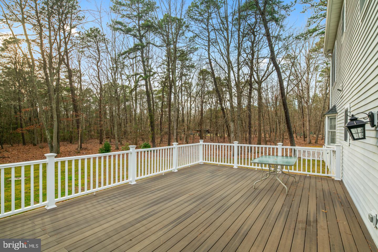 379 Indian Mills Road Shamong, NJ 08088 - Photo 48 of 56 Deck