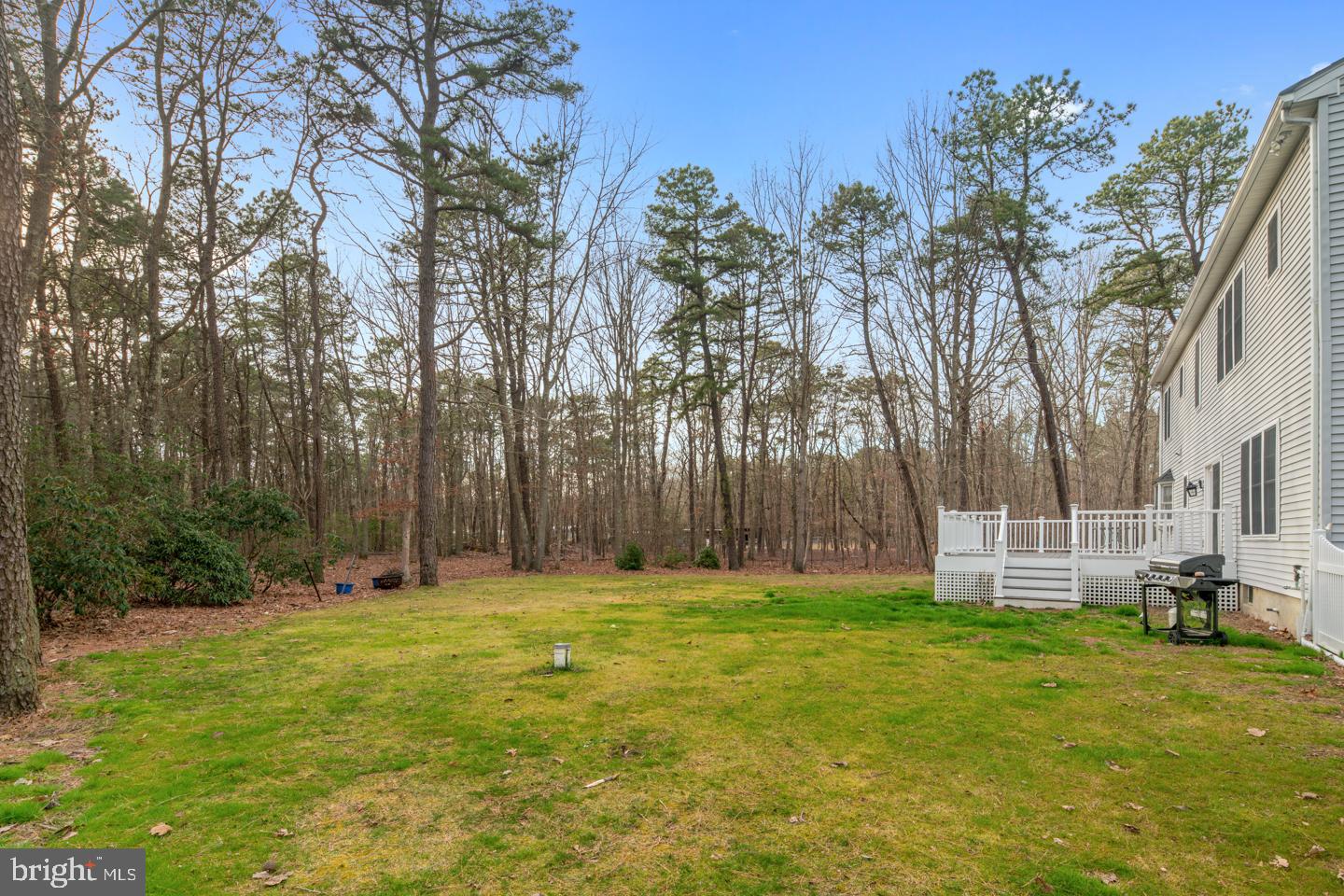 379 Indian Mills Road Shamong, NJ 08088 - Photo 49 of 56 Backyard