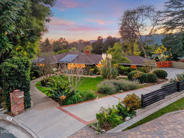 a view of a room with wooden floor and plant