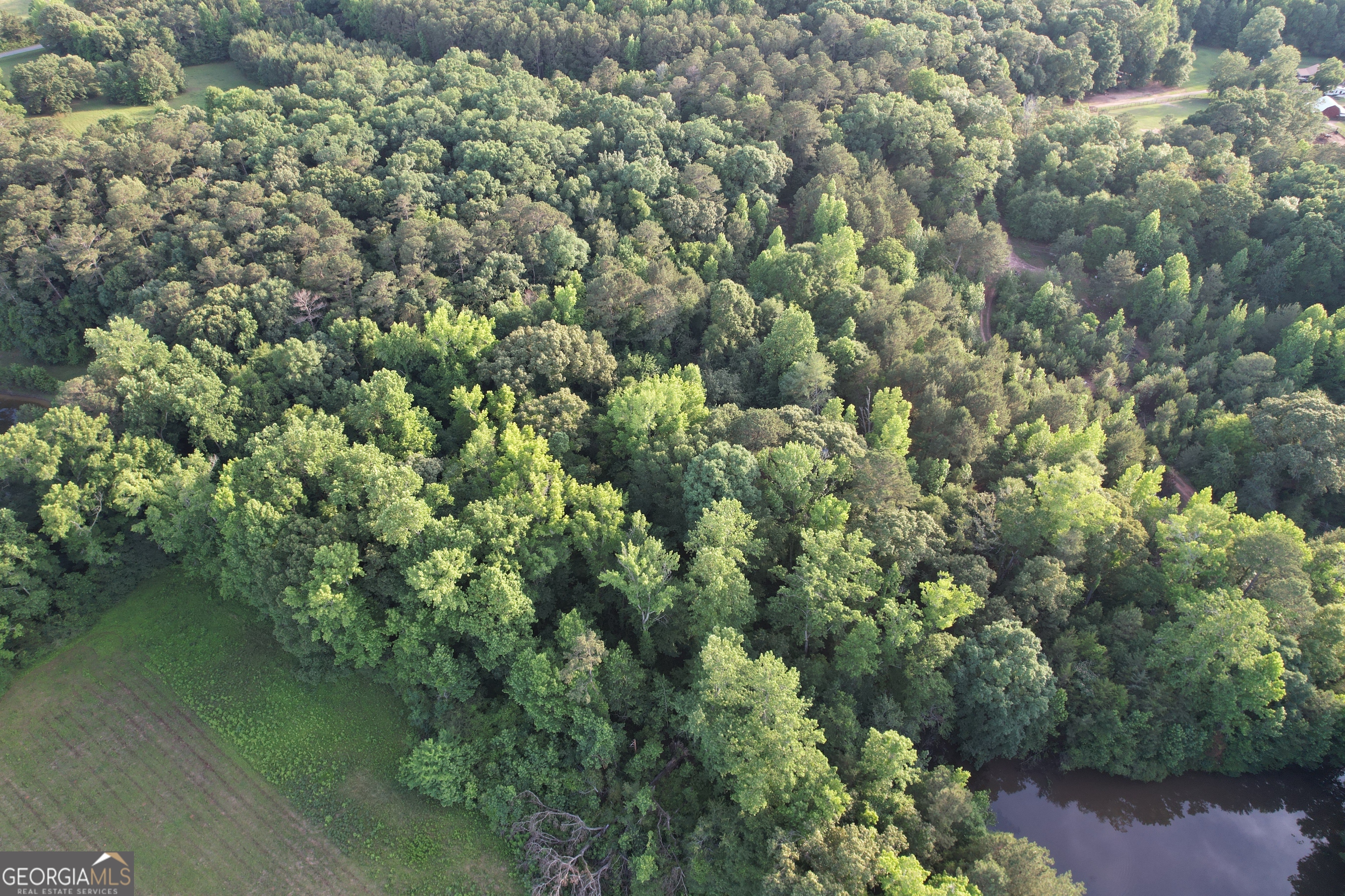 541 B Ellis Dairy Road Griffin, GA 30224 - Photo 6 of 8