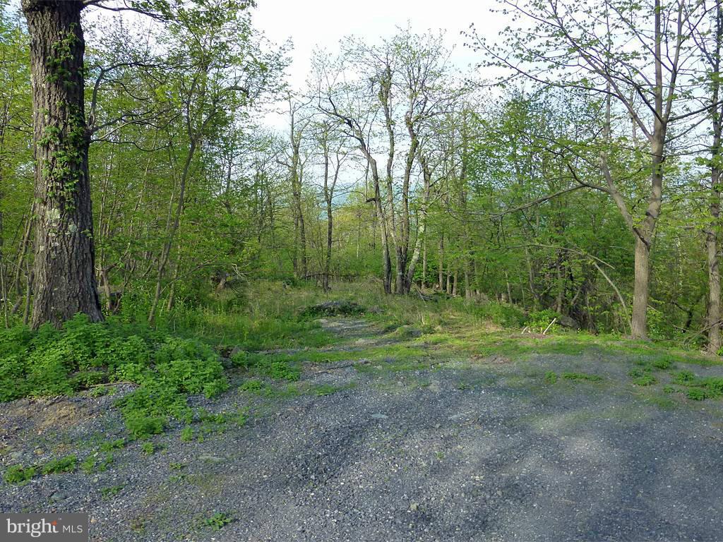 Mountain Top Road Front Royal, VA 22630 - Photo 1 of 17 Exterior (General)