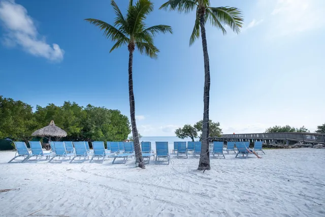 a palm tree sitting in front of a house with wooden fence