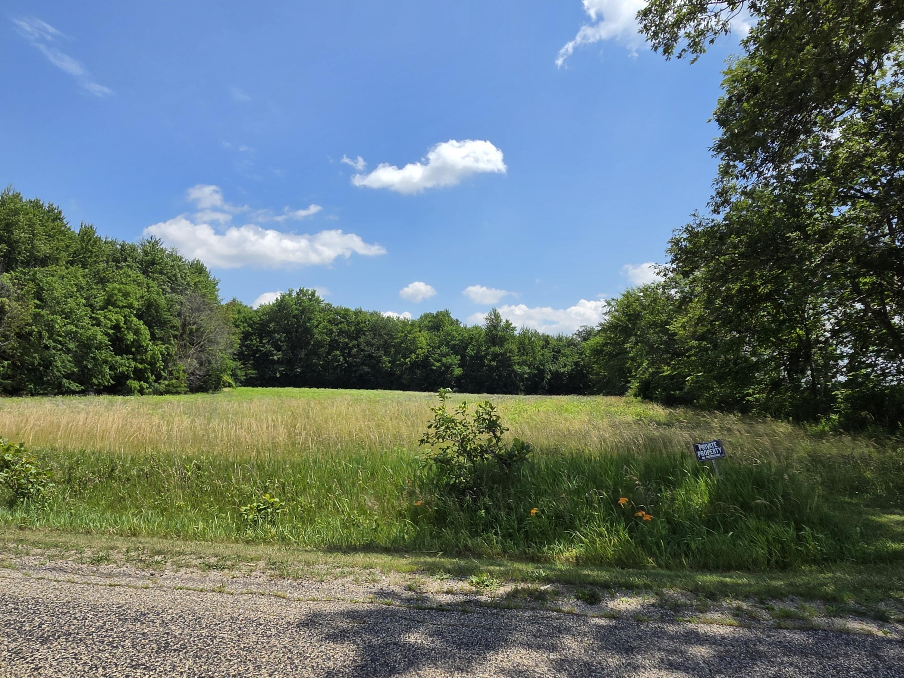 14667 Tripp Road Camden, MI 49232 - Photo 27 of 27 20260702_130630