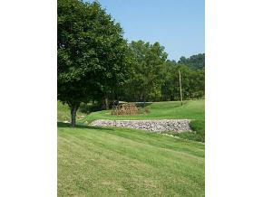 1 Rt Hiltons, VA 24258 - Photo 9 of 9 Photo 9