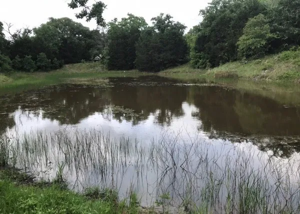 a view of a lake from a yard