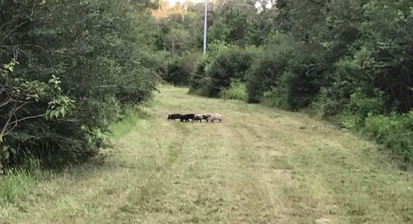 a view of a patio