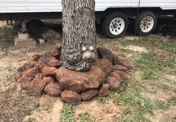 a view of a tree in a yard