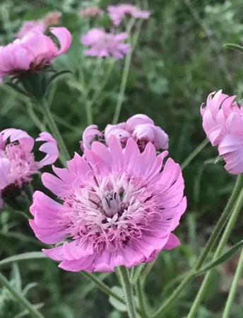 $505,000 | 1803 Doe Run Drive, Waelder, TX 78959