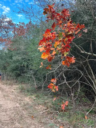 $505,000 | 1803 Doe Run Drive, Waelder, TX 78959