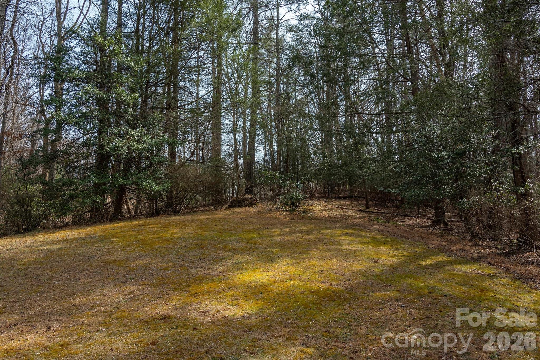 1720 Brevard Road Arden, NC 28704 - Photo 4 of 30
