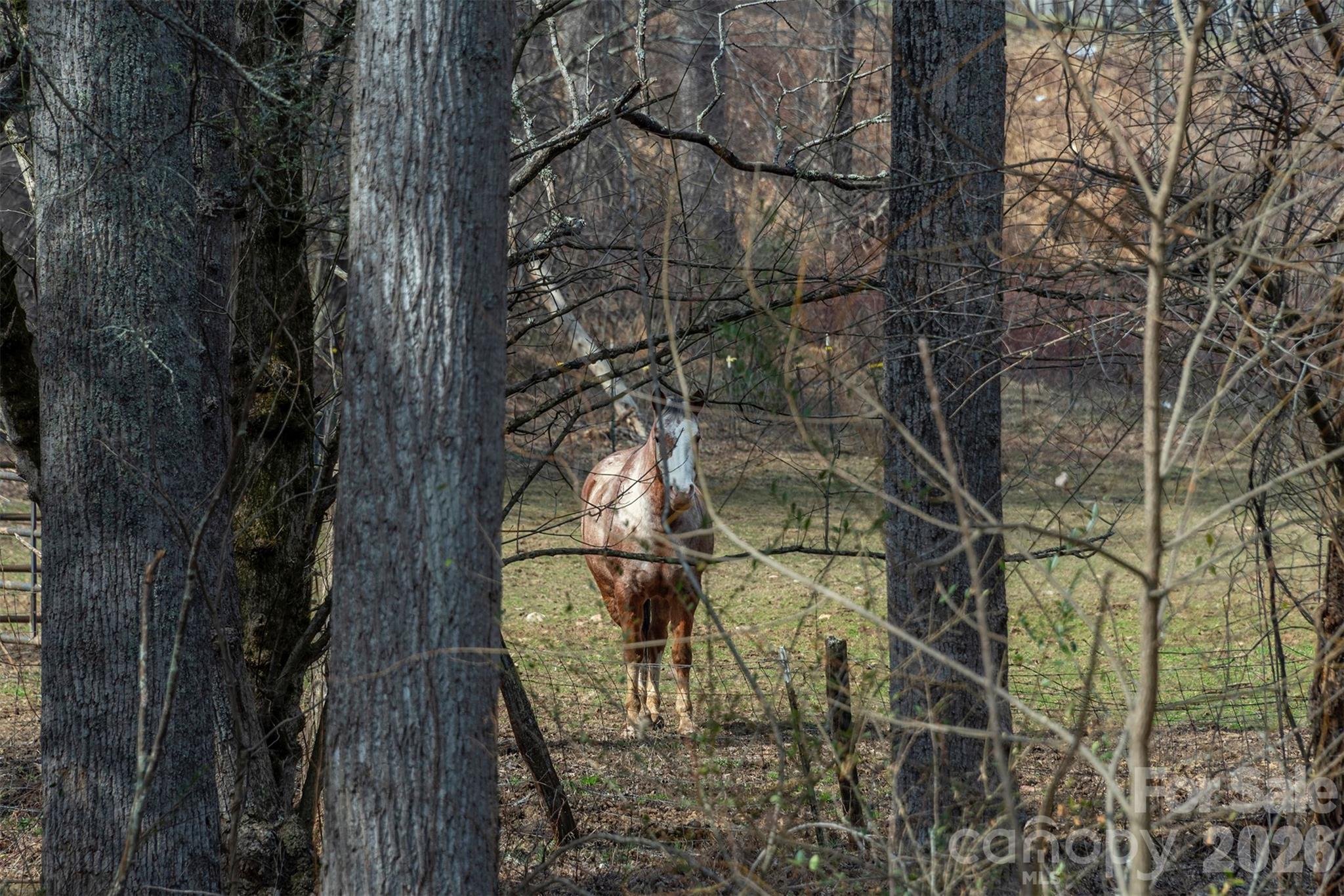 1720 Brevard Road Arden, NC 28704 - Photo 5 of 30