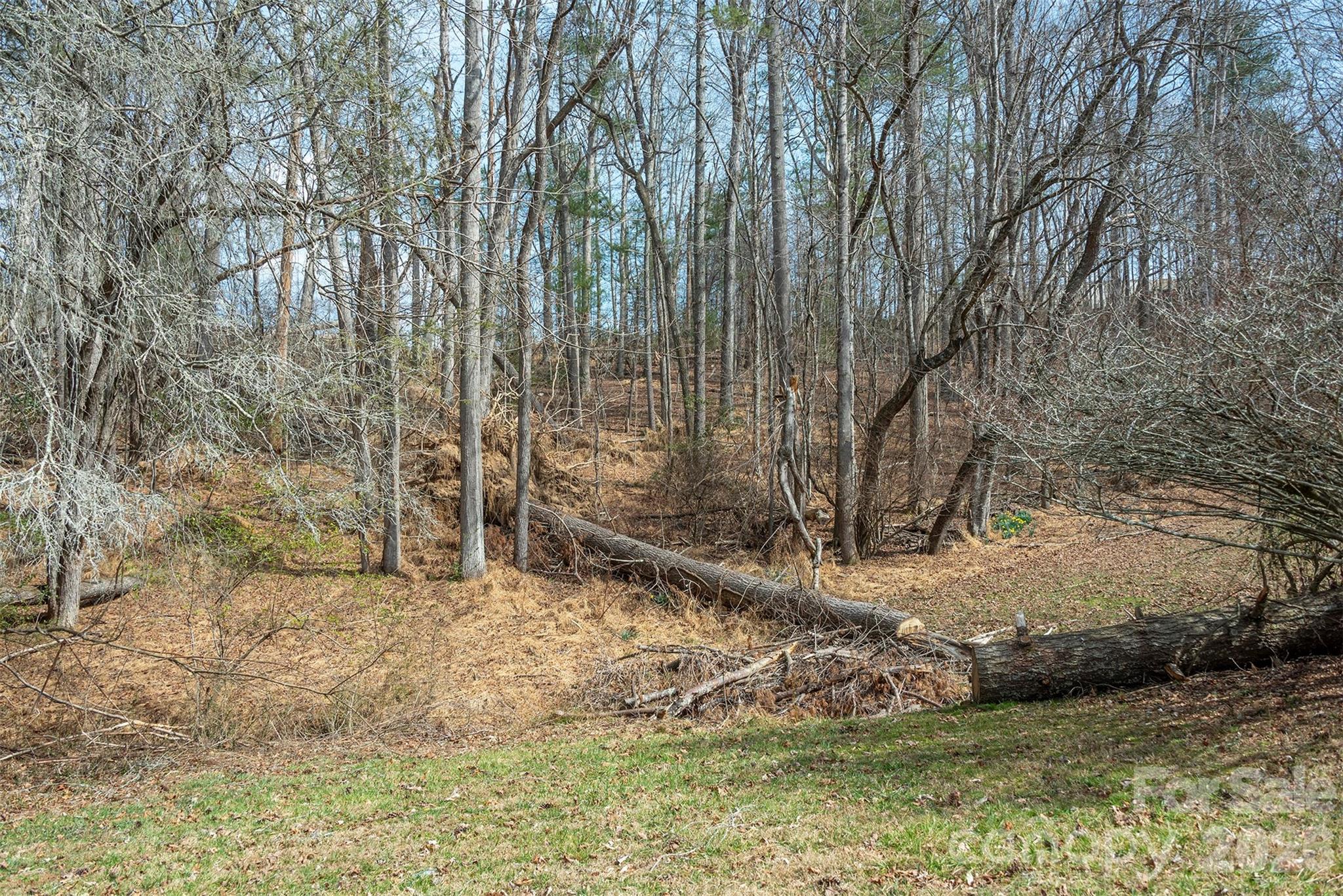 1720 Brevard Road Arden, NC 28704 - Photo 6 of 30