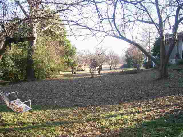 935 Tanner Road Greenville, SC 29607 - Photo 4 of 9
