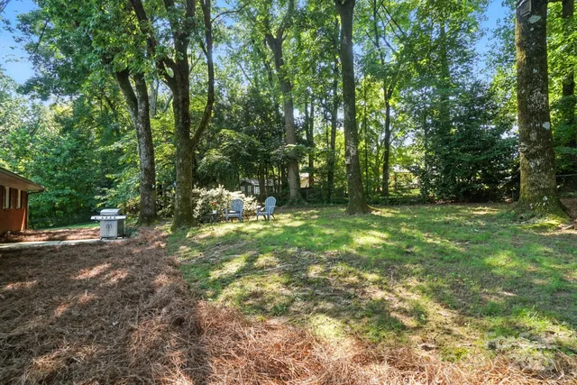 a view of outdoor space with trees all around