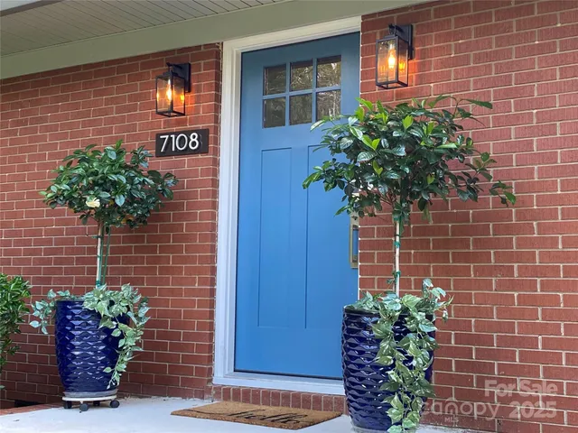 a plant that is in front of a door