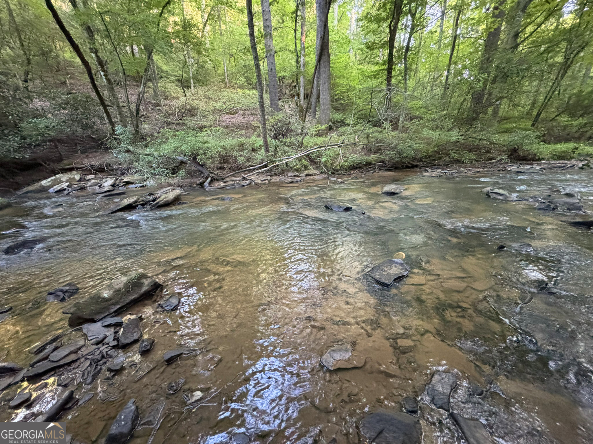 443 Mt Springer Road Ellijay, GA 30540 - Photo 24 of 34