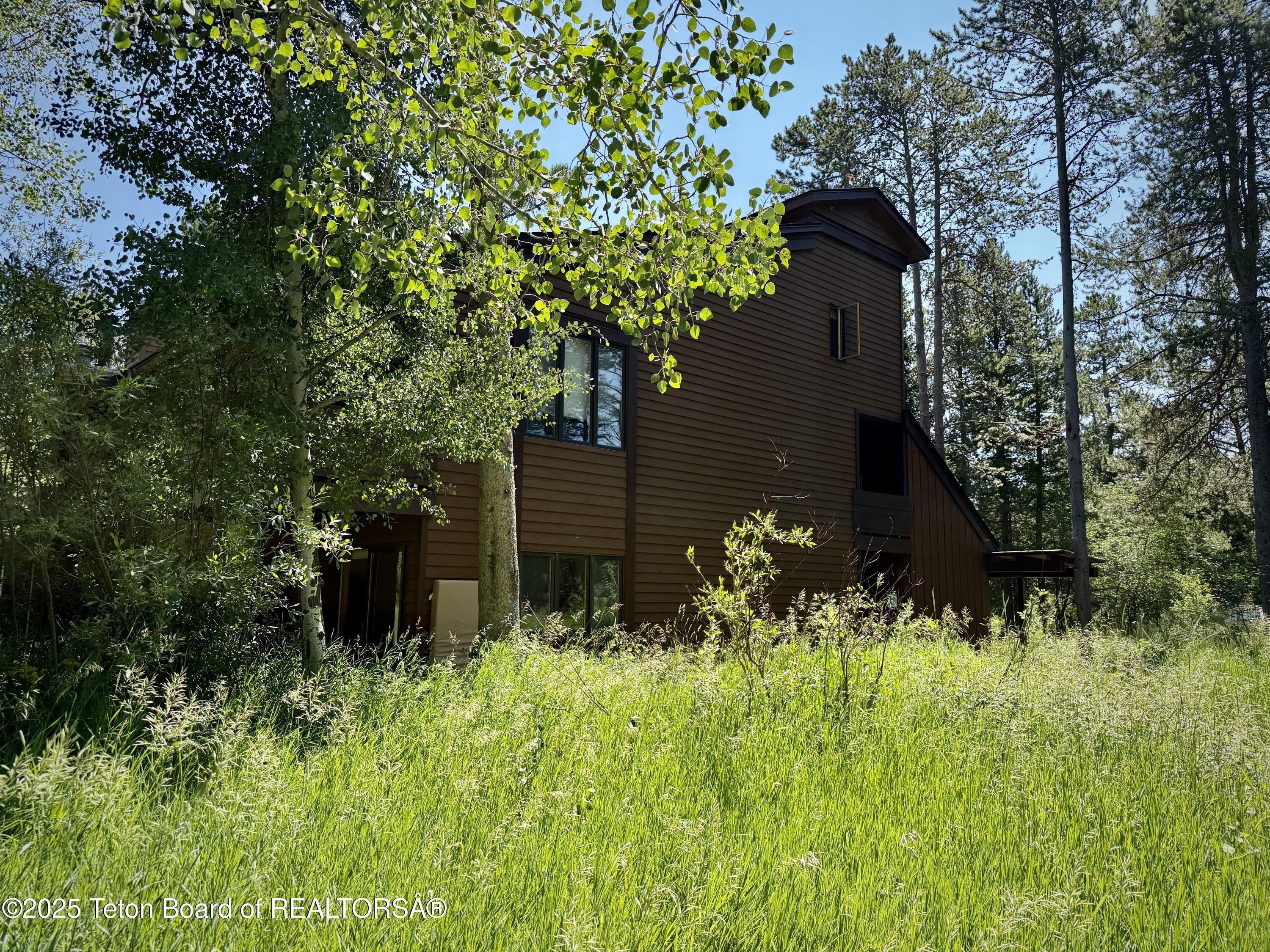 3665 Teton Drive, Unit 611 Wilson, WY 83014 - Photo 19 of 20 Backyard