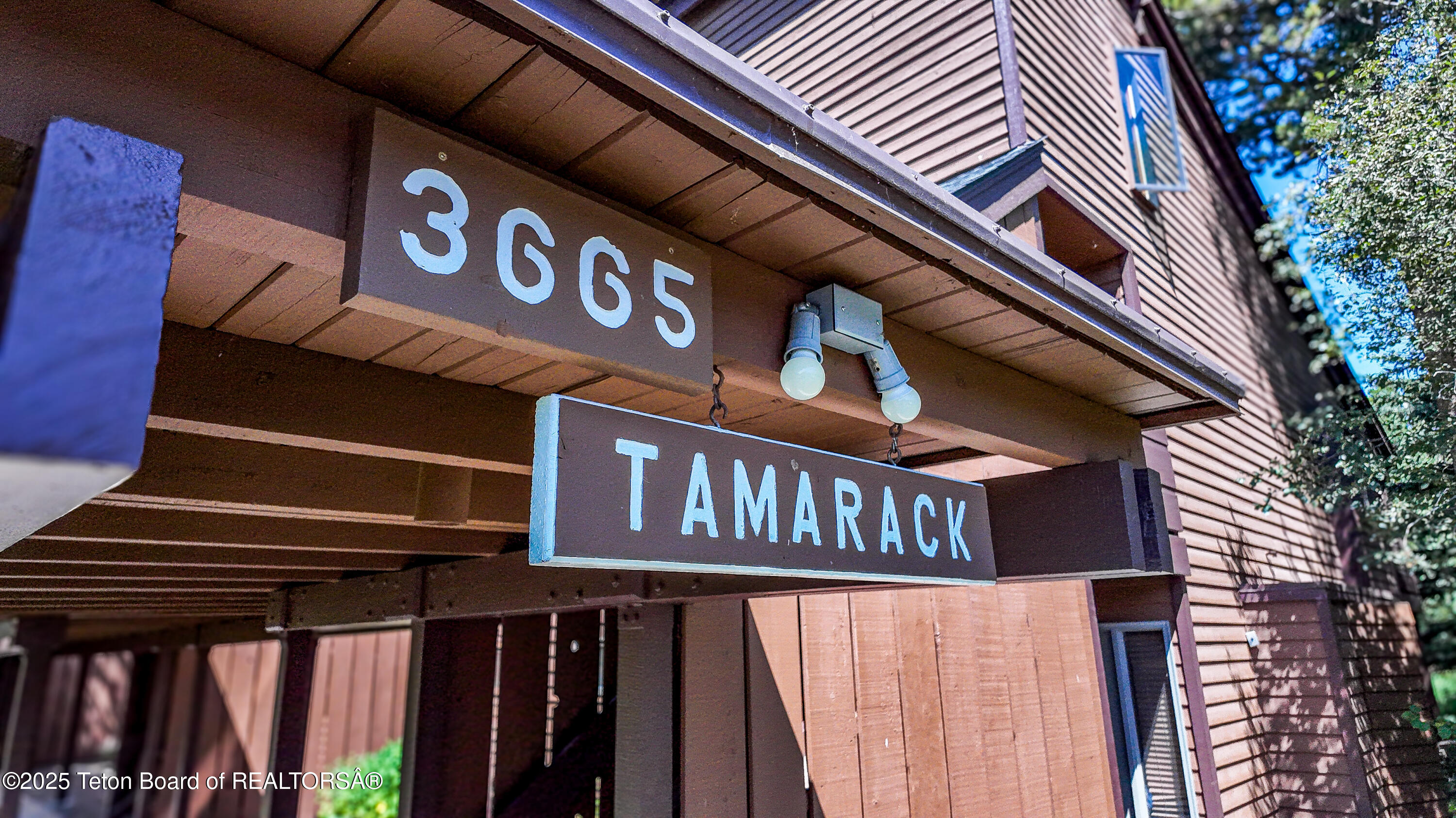 3665 Teton Drive, Unit 611 Wilson, WY 83014 - Photo 2 of 20 611 Tamarac