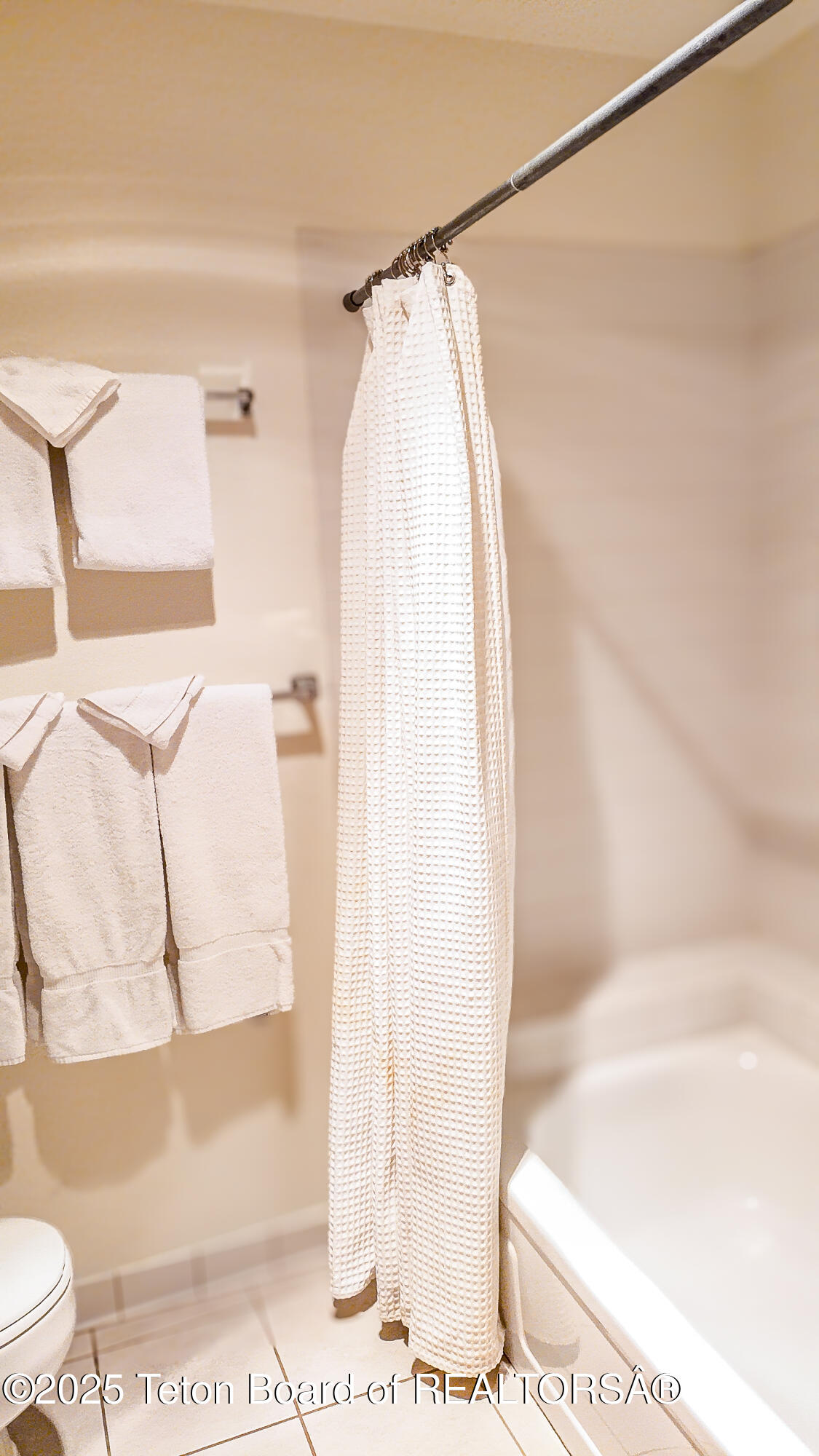 3665 Teton Drive, Unit 611 Wilson, WY 83014 - Photo 5 of 20 Shower