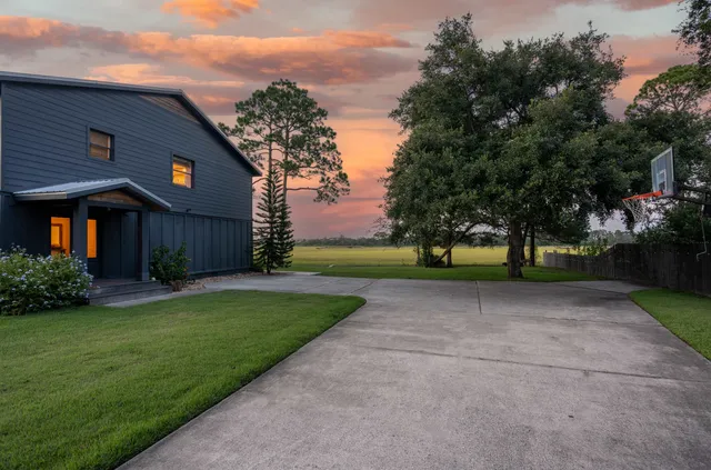 a view of a park with large trees