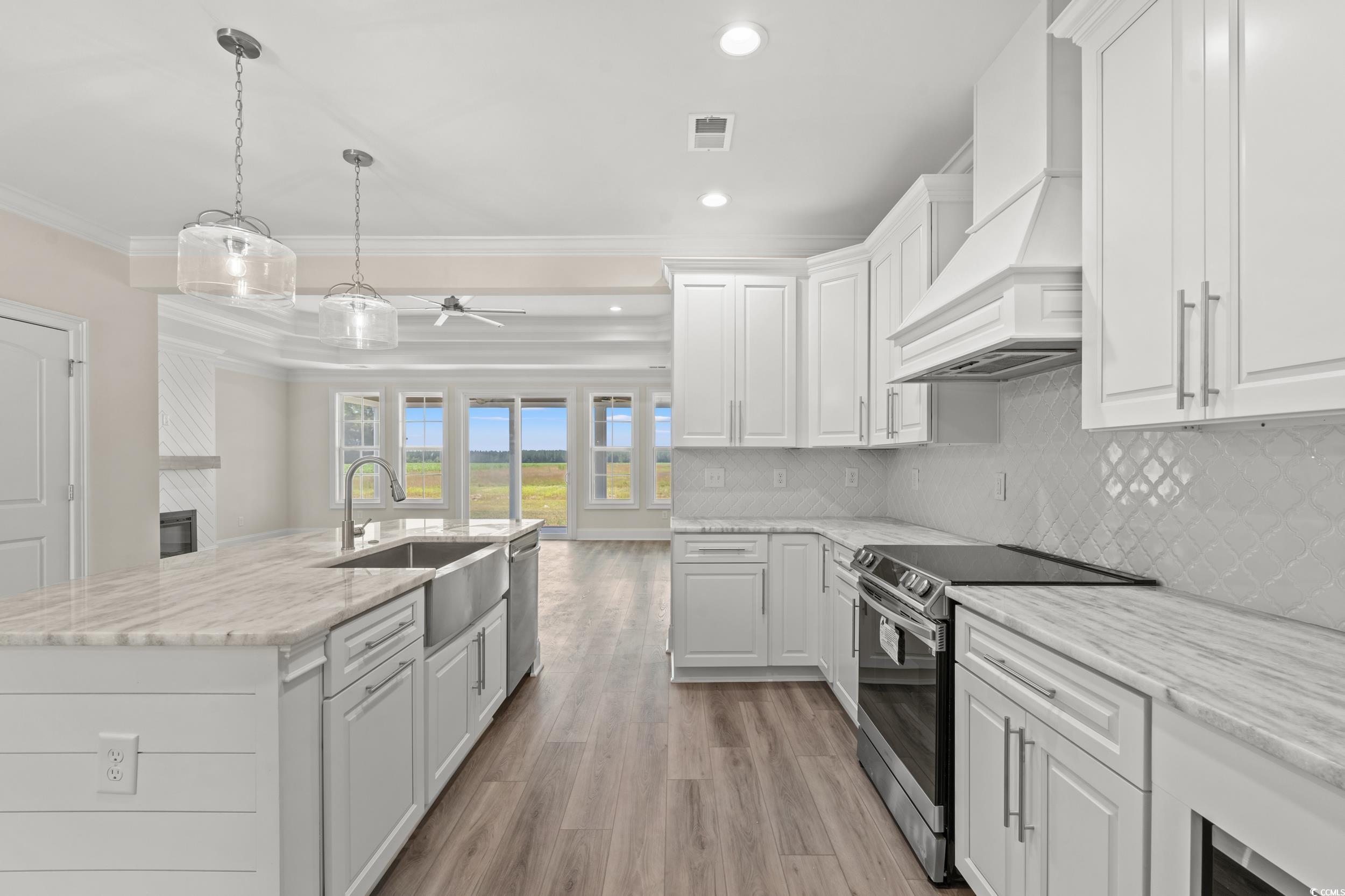 4022 Macks Road Aynor, SC 29511 - Photo 7 of 35 Kitchen featuring a sink, custom exhaust hood, appliances with stainless steel finishes, crown molding, and a ceiling fan