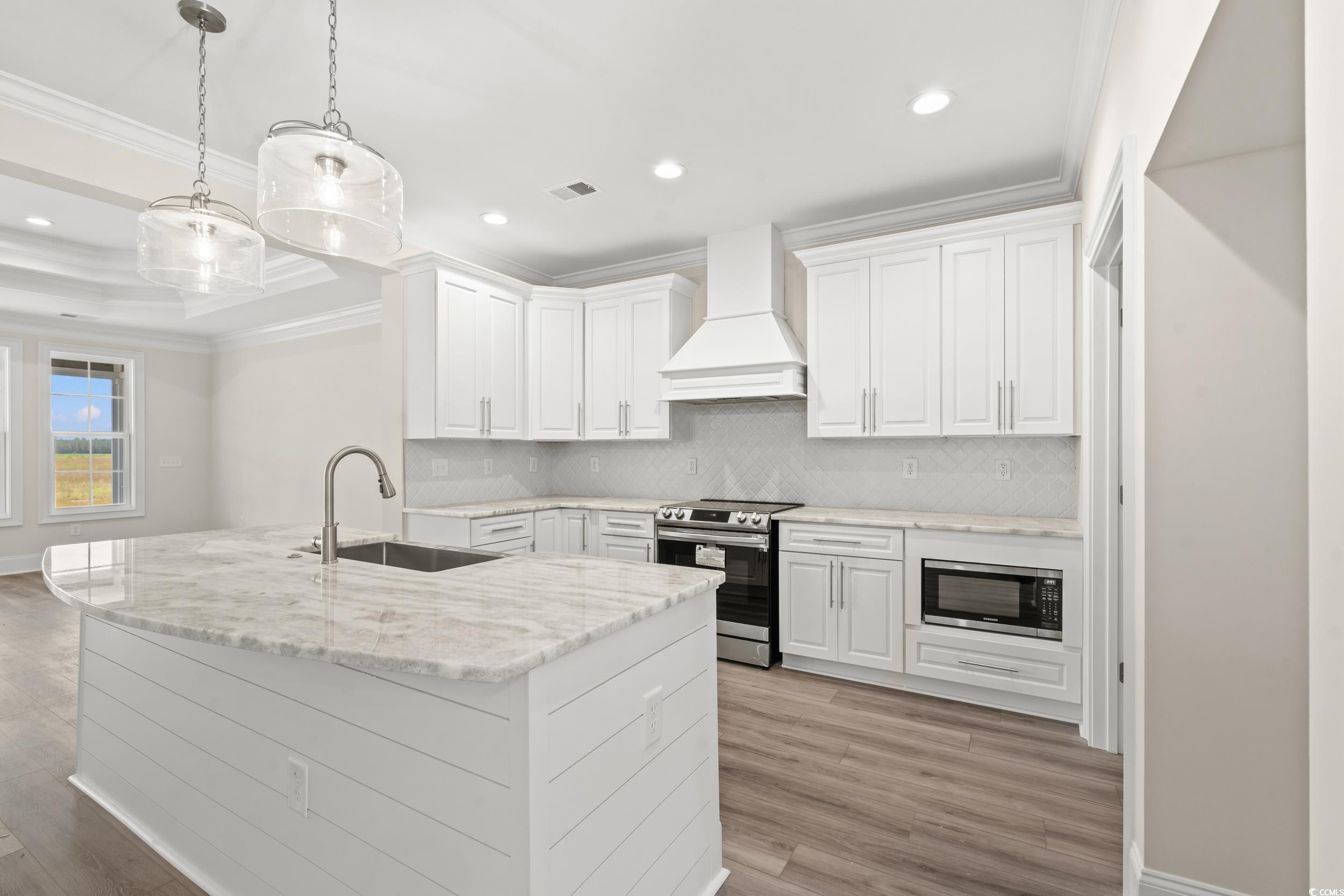 4022 Macks Road Aynor, SC 29511 - Photo 8 of 35 Kitchen featuring stainless steel appliances, custom exhaust hood, a sink, crown molding, and tasteful backsplash