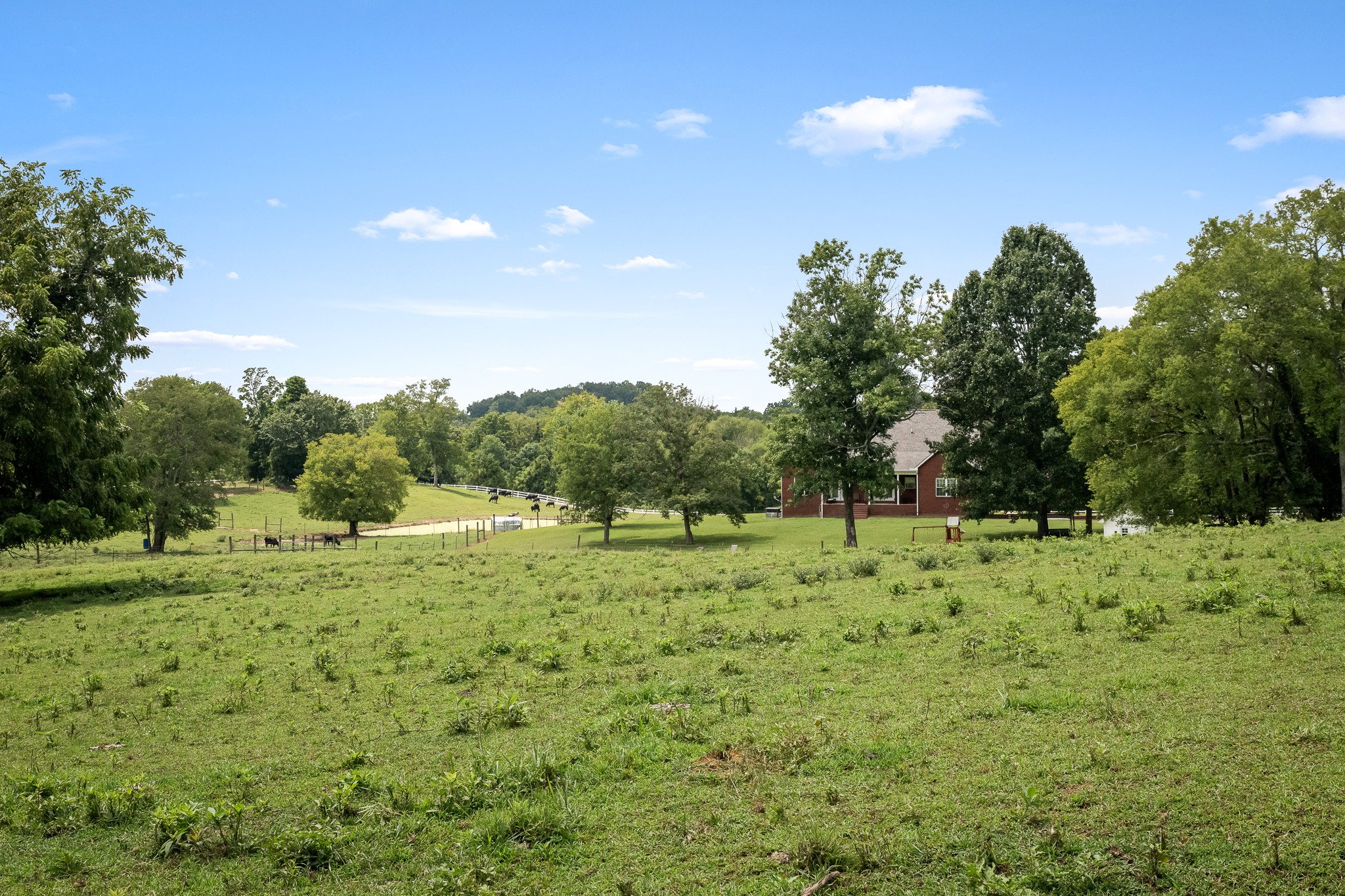 206 Hickerson Road Wartrace, TN 37183 - Photo 14 of 100 Gallery Image 14