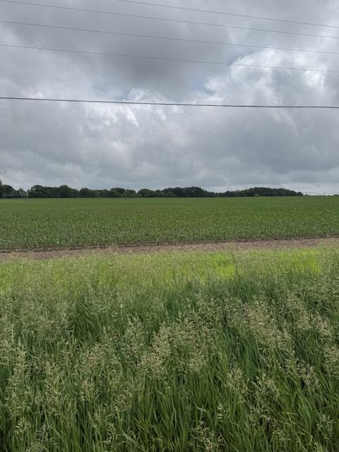 V/l Satterlee Road Greenville, MI 48838 - Photo 3 of 7 IMG_4735