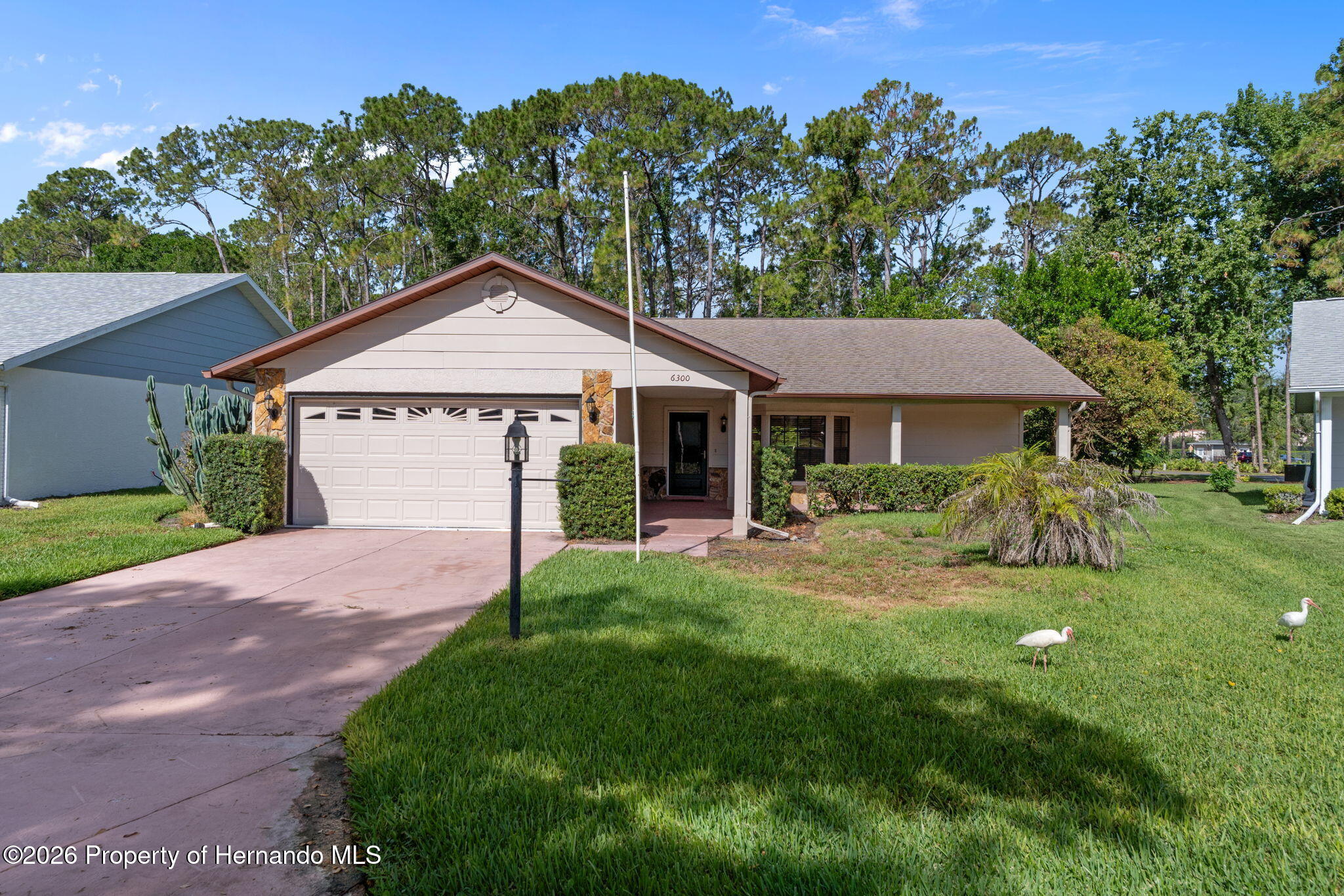 6300 Darien Way Spring Hill, FL 34606 - Photo 3 of 95
