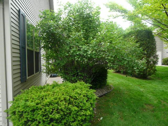 1321 Terra Road Traverse City, MI 49686 - Photo 5 of 22 1785920-4.JPG