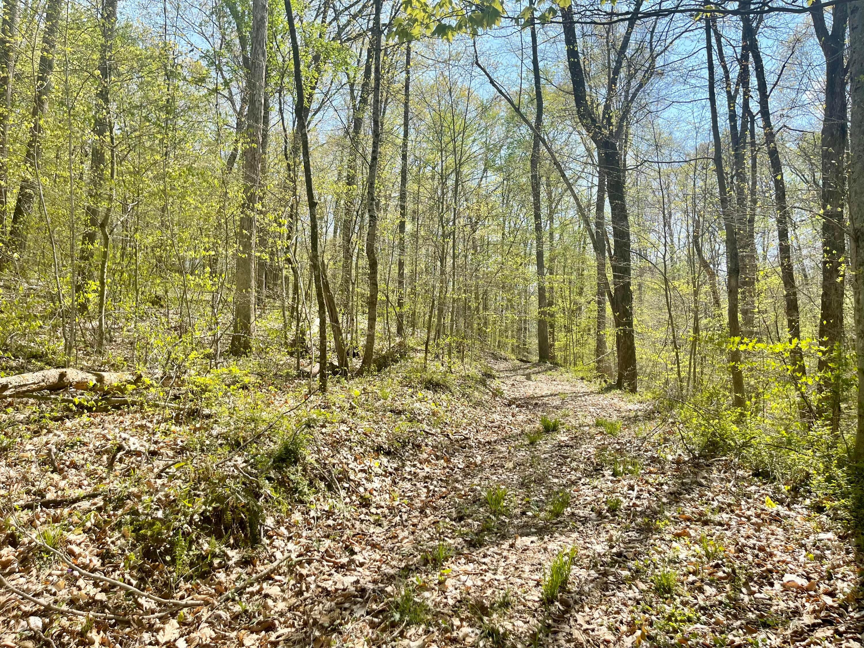 0 Dunlap Road Rockbridge, OH 43149 - Photo 14 of 18 0 Dunlap Road, Rockbridge, Ohio
