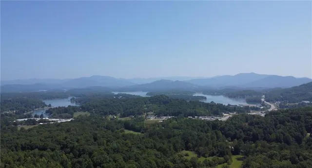 a view of a city with lush green forest
