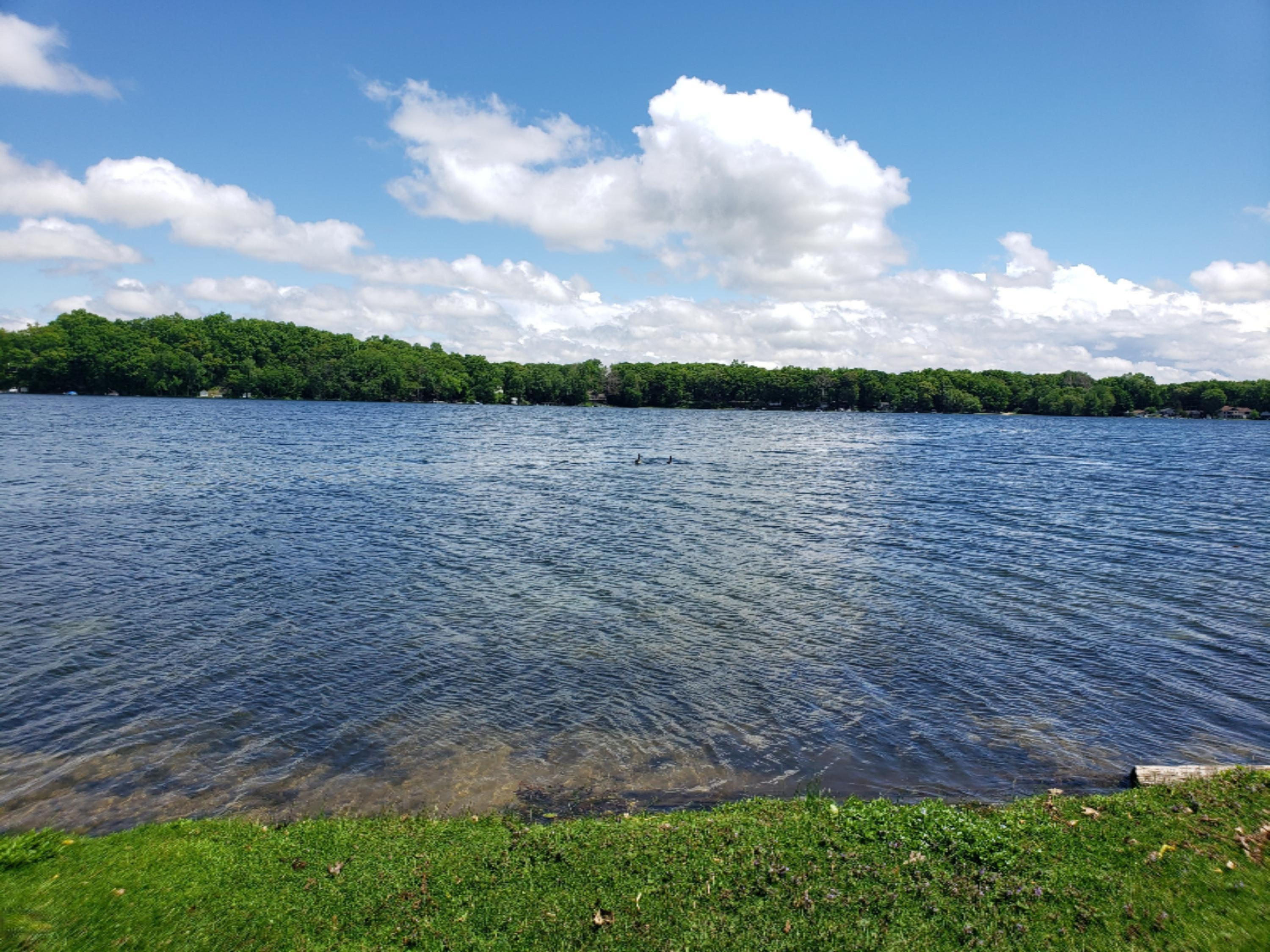 11296 Pierce Drive Three Rivers, MI 49093 - Photo 4 of 42 20190530_141122