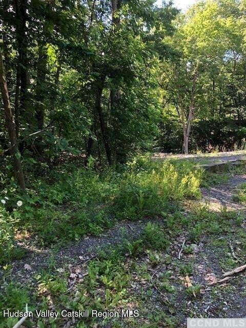 1856 Sleepy Hollow Road Athens, NY 12015 - Photo 2 of 5 a view of a lush green space