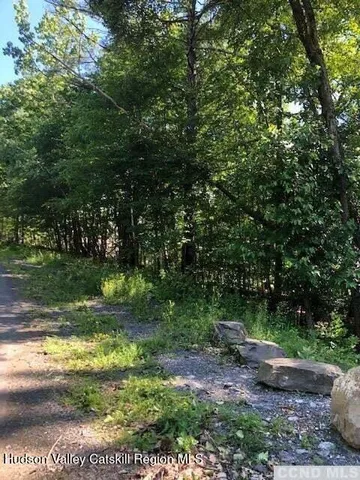 a view of yard with green space