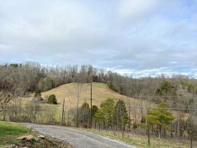 676 Possum Valley Road Maynardville, TN 37807 - Photo 16 of 17 IMG_7600 (2)