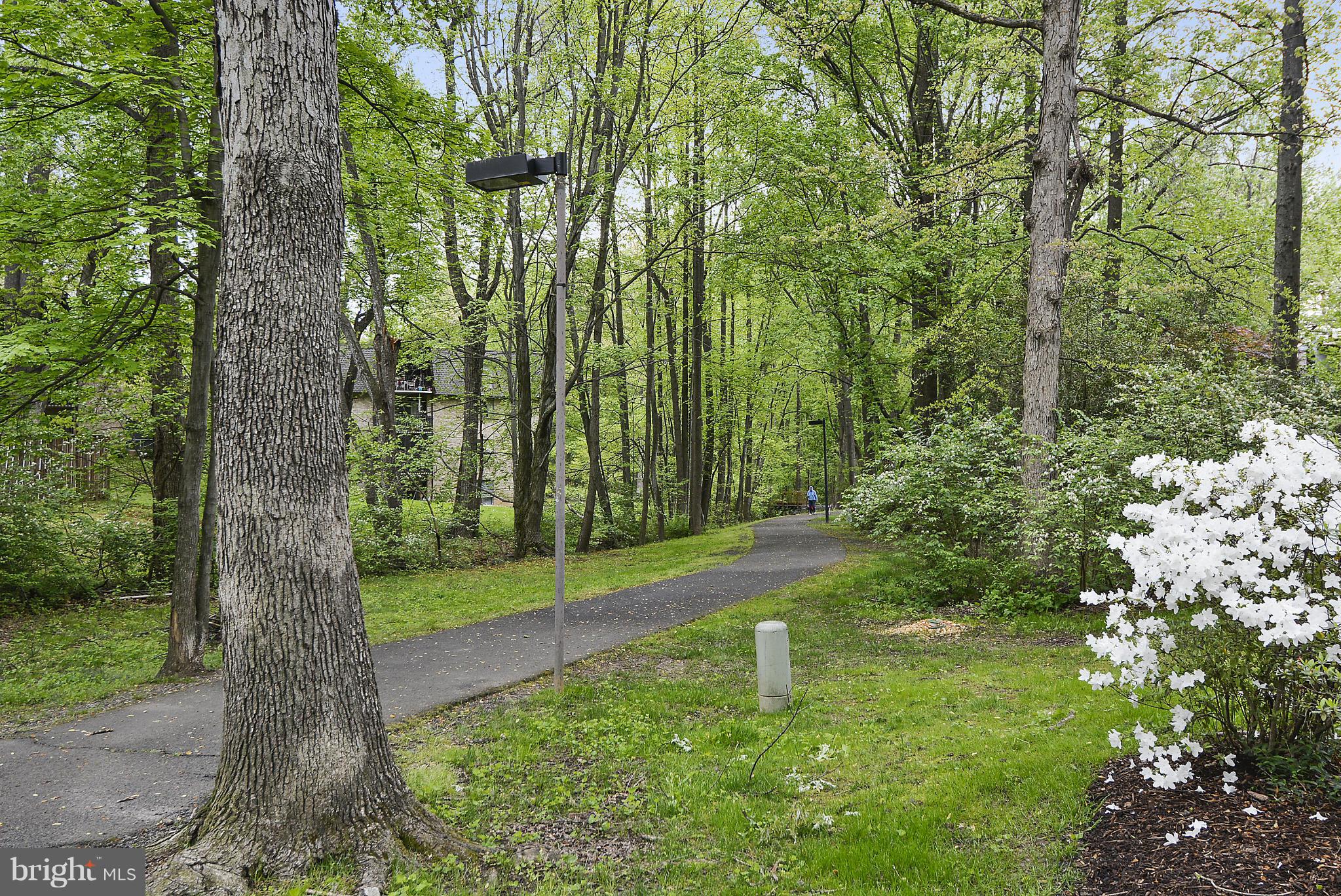11614 Vantage Hill Road, Unit 22B Reston, VA 20190 - Photo 24 of 30 Bike Trail